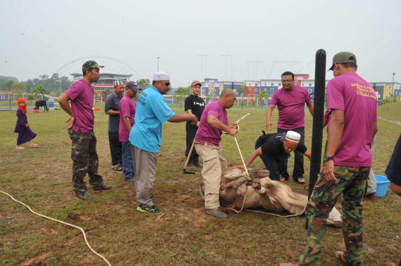 PRO15 150 KORBAN HAS 6689